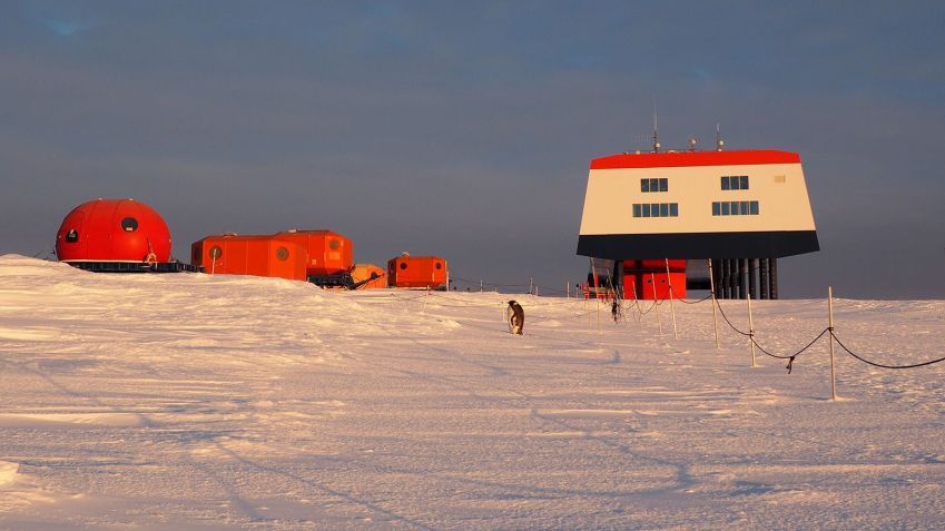 Pinguim solitário é visto durante o processo de perda da penugem em frente à base de pesquisas alemã Neumayer Station III / Celine Le Bohec/CNRS/CSM