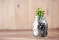 Por que investidores não estão priorizando a sustentabilidade