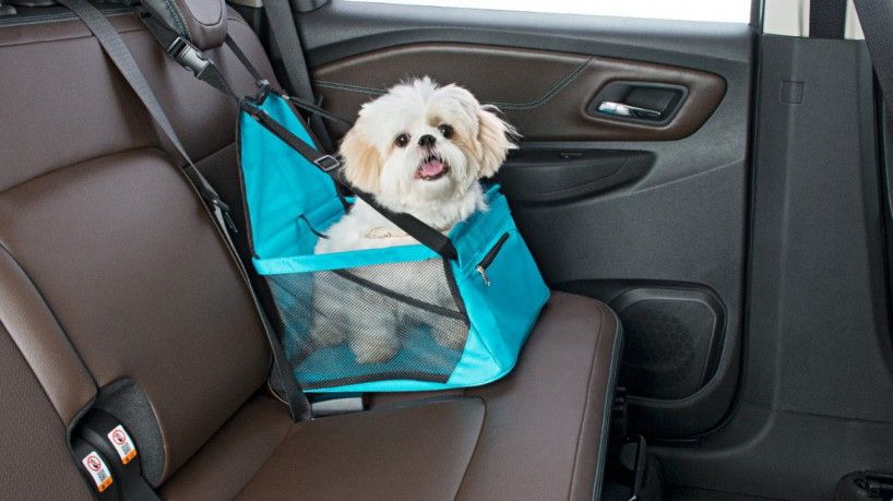 cadeirinha pet carro