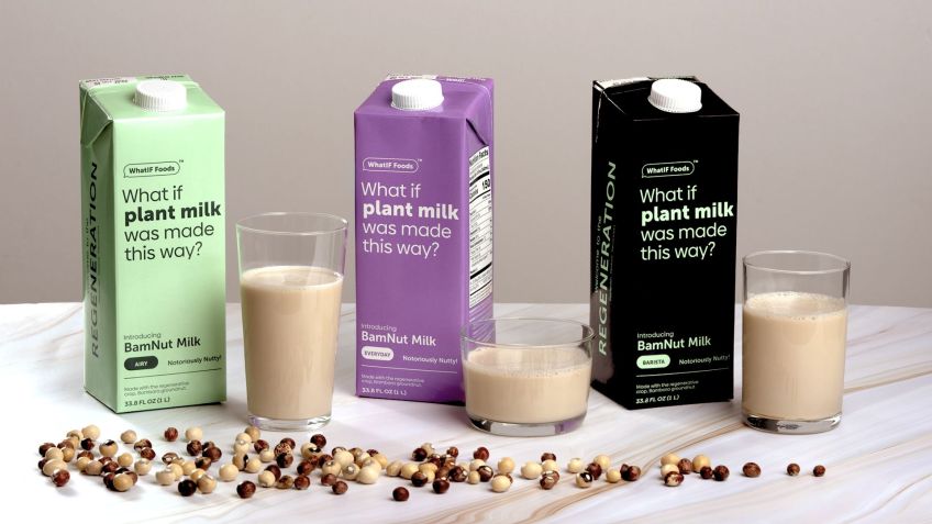 O leite BamNut sem laticínios da WhatIF é rico em proteínas e fibras alimentares/ Divulgação/ WhatIF