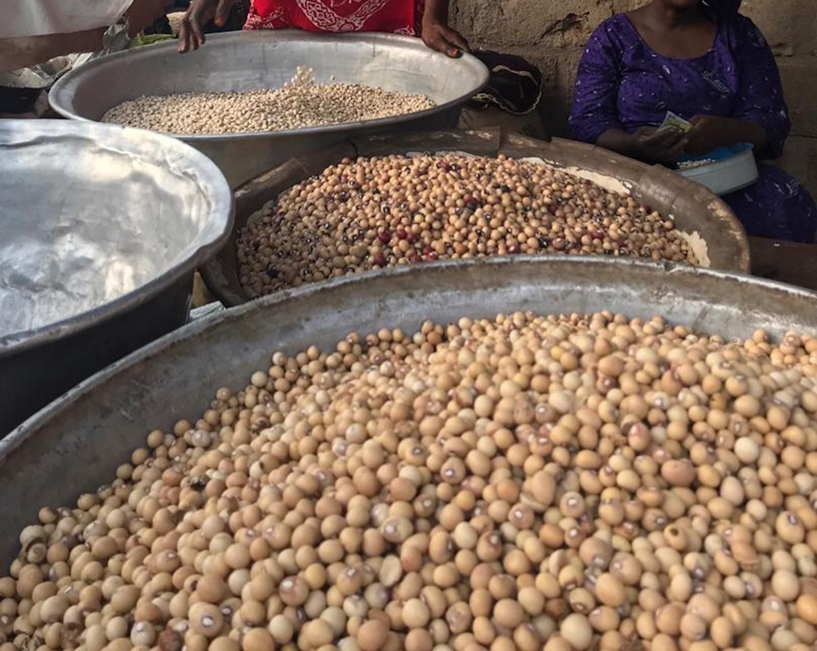 O amendoim Bambara (foto) é cultivado em regiões semi-áridas da Ásia e da África, incluindo Gana, onde a WhatIF está trabalhando com mais de 1.600 agricultores / Divulgação/ WhatIF