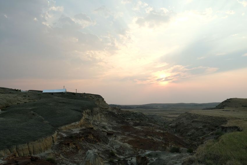 O sítio fóssil de Tanis em Dakota do Norte teria sido uma floresta pantanosa há 66 milhões de anos. / Reprodução / BBC Studios