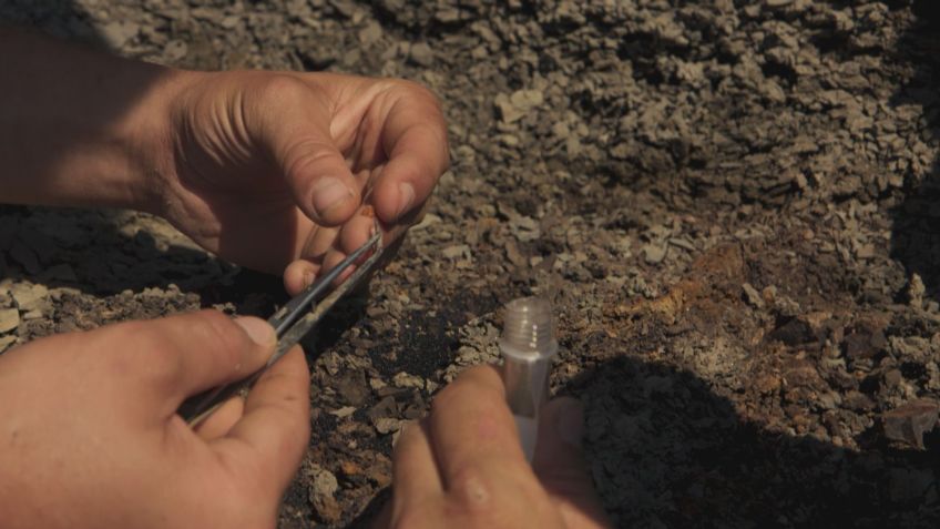 Âmbar com um pedaço potencial do asteroide dentro. / BBC Studios