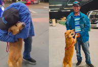 Após 2 meses longe de seu dono, cachorro Thor ganha passagem para voltar para casa