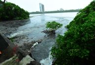 Muro de 30 metros do Aeroporto do Recife desaba em razão das fortes chuvas