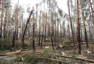 Meio ambiente da Ucrânia é outra vítima da guerra; danos poderão ser sentidos por décadas