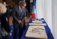 Brasil recupera 998 fósseis contrabandeados de parque arqueológico cearense