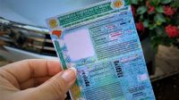 Detran-RS abre inscrições para CNH gratuita; veja locais com benefício