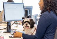 Pets agora “batem ponto” em empresas que incentivam presença de animais no trabalho