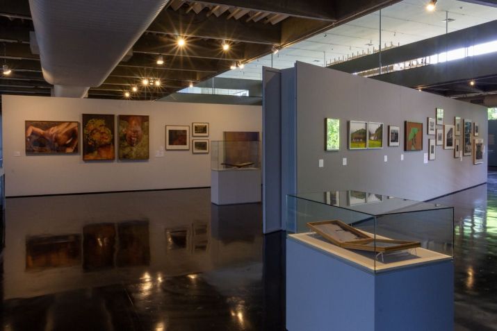 Exposição vai até o dia 17 de julho / Fábio Souza
