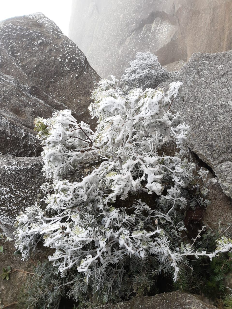 Imagem de destaque do post: Rio de Janeiro amanheceu com temperatura negativa no Parque de Itatiaia