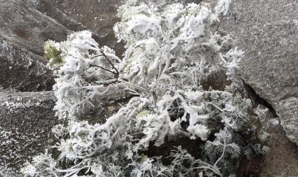 Imagem de destaque do post: Rio de Janeiro amanheceu com temperatura negativa no Parque de Itatiaia
