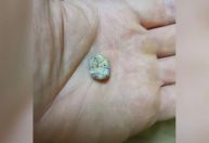 Cientistas encontram, em caverna no Laos, dente de criança que viveu há milhares de anos