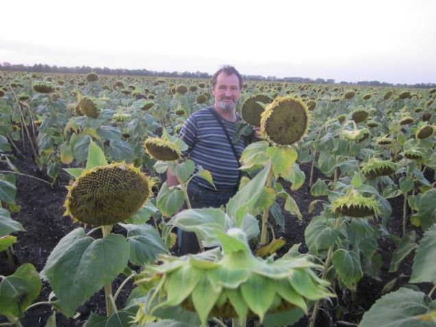 Tatiana Bozko disse que seu marido foi levado por soldados russos / Tatiana Bozko