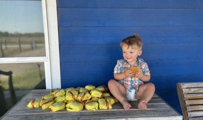 Garoto de 2 anos pede 31 cheeseburguers após mãe deixar o celular desbloqueado
