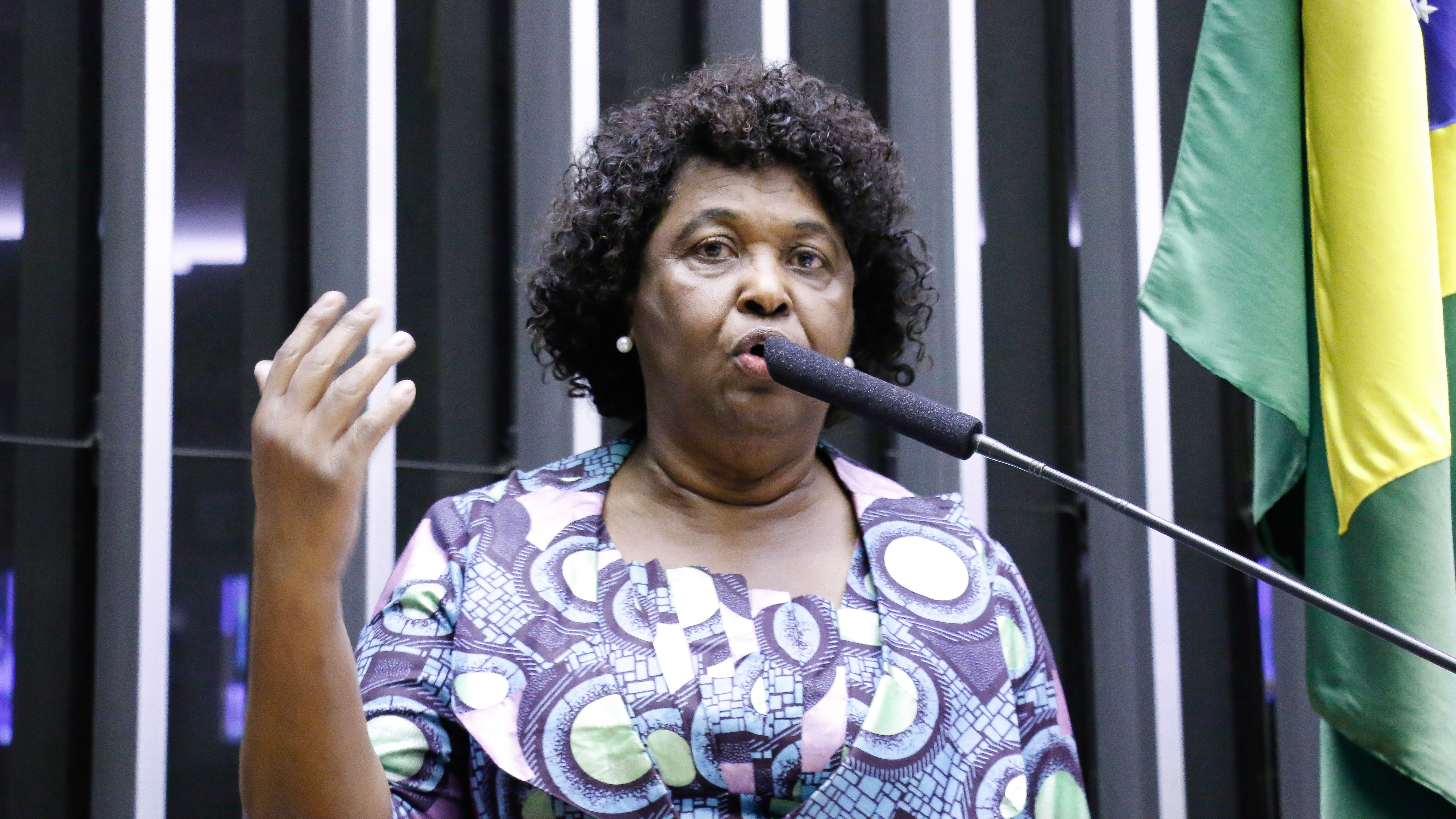 A deputada federal Benedita da Silva no plenário da Câmara