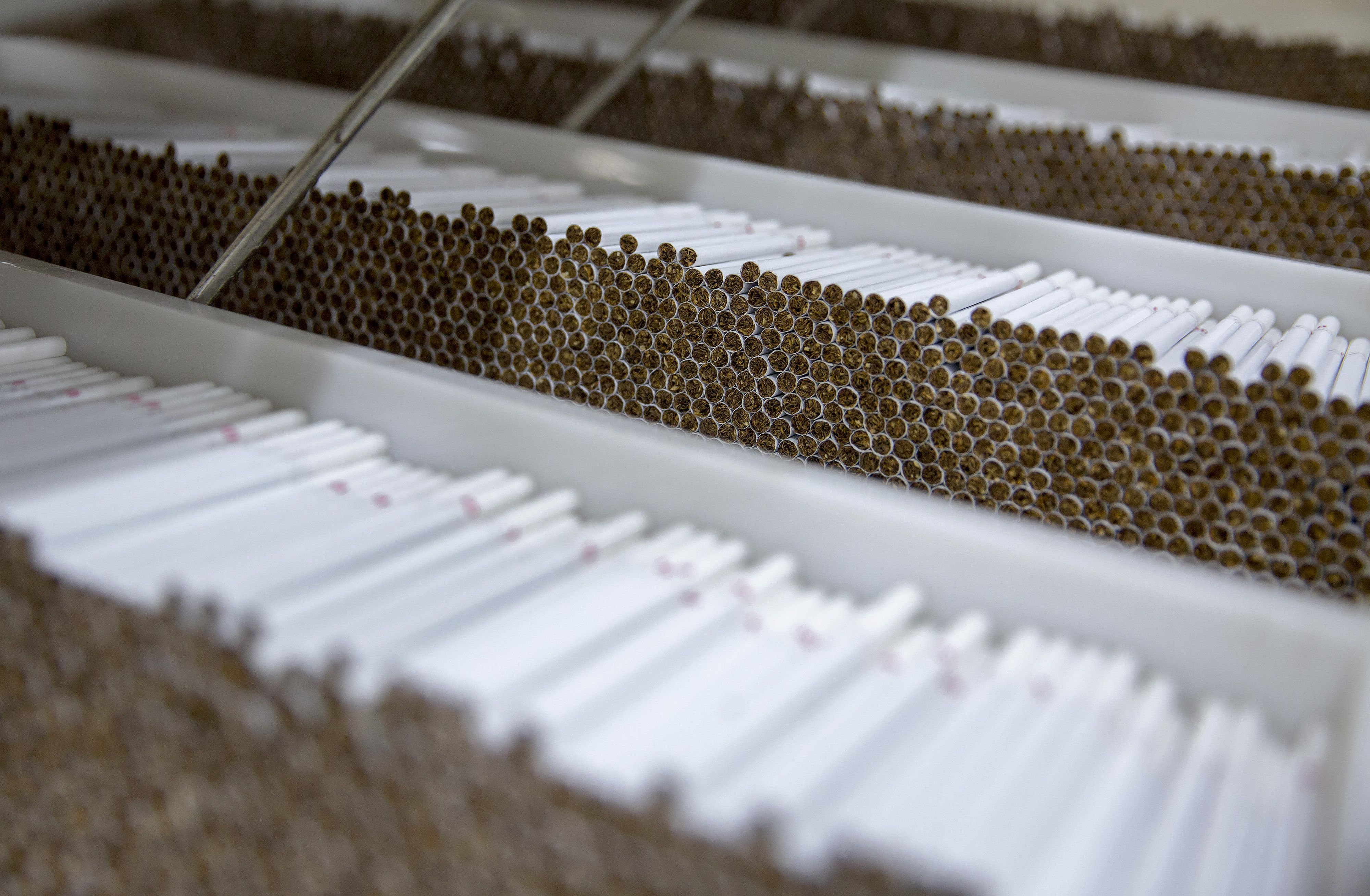 indústria cigarro tabaco fumo fumar