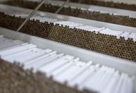 Indústria do tabaco mata 8 milhões de pessoas anualmente, diz OMS