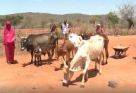 É preciso urgência no combate ao aumento da insegurança alimentar, diz agência da ONU