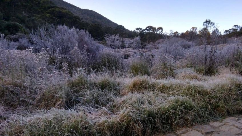 Parque de Itatiaia tem altas altitudes, o que ajuda a explicar o frio recorde / Divulgação/ICMBio