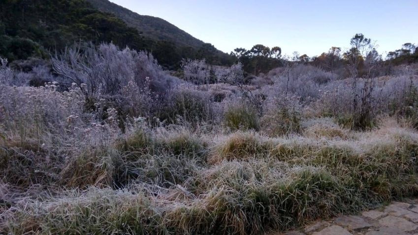 Parque de Itatiaia tem altas altitudes, o que ajuda a explicar o frio recorde / Divulgação/ICMBio