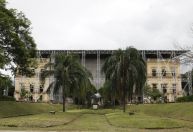 Museu Nacional comemora 204 anos com pedido de ajuda para captação de recursos