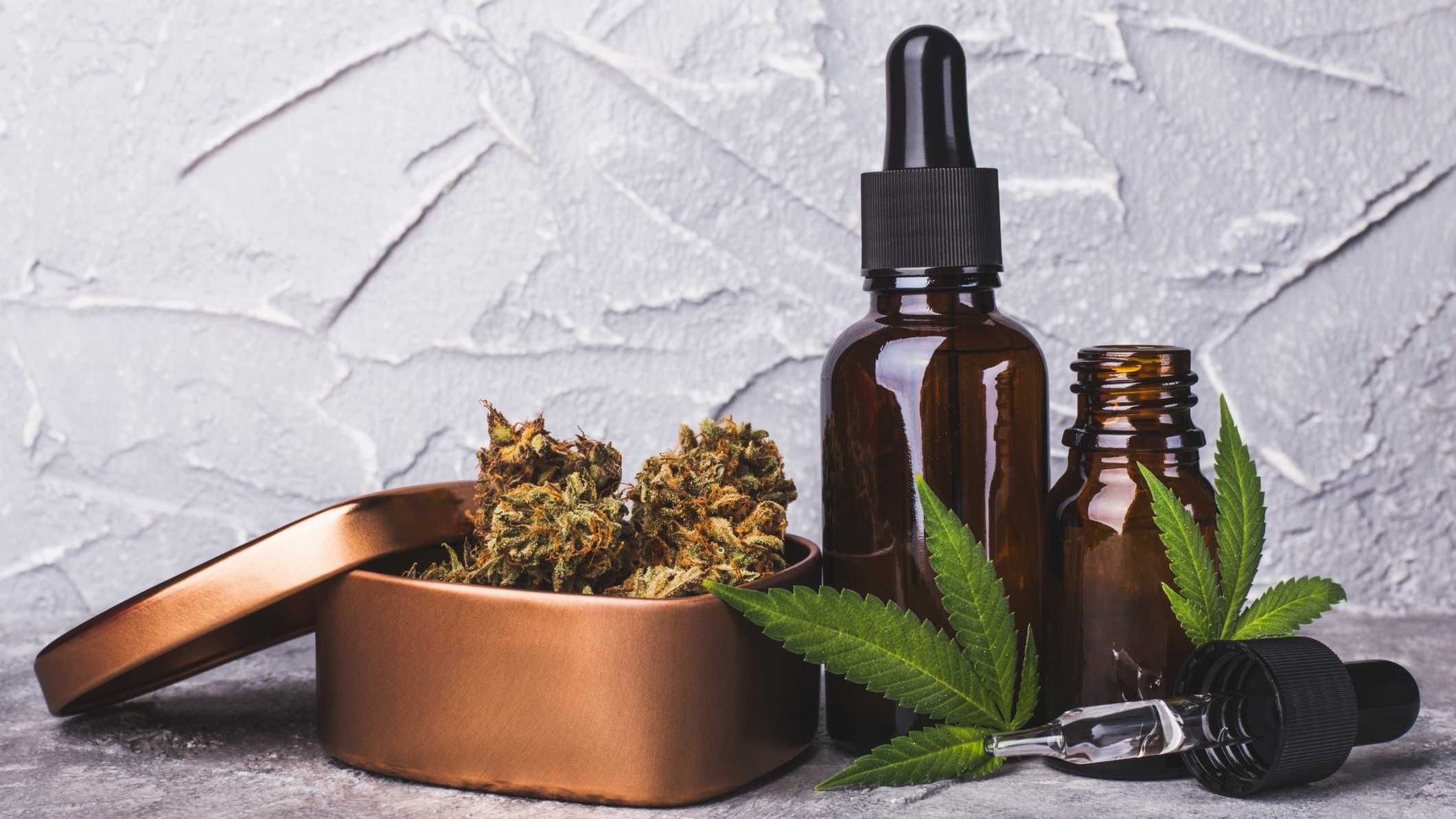 Extrato de óleo de cannabis, nome científico da maconha, que vem sendo usada como base para a fabricação de medicamentos