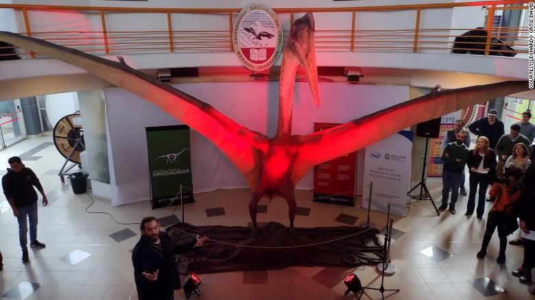 Modelo em tamanho real do pterossauro está em exibição no Laboratório e Museu de Dinossauros em Mendoza, na Argentina / Foto: Imagem: Leonardo Ortiz David