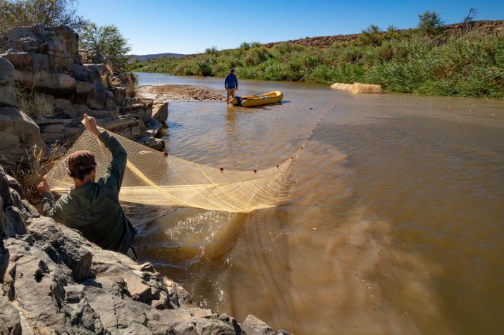 Cientistas realizam pesquisa sobre peixes de água doce ameaçados de extinção no Rio Doring, na África do Sul / Jeremy Shelton