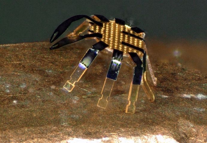Menor robô controlado remotamente do mundo é capaz de se mover com a ajuda de lasers / Foto: Universidade Northwestern