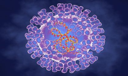 Varíola dos macacos: o que é, quais são os sintomas e como acontece a transmissão