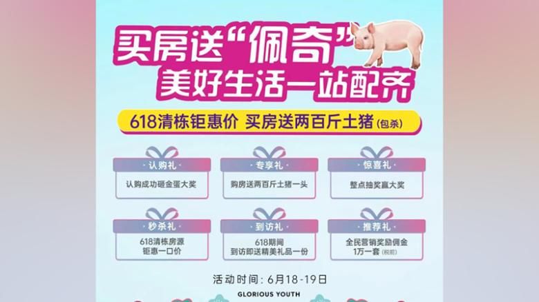 Poly Real Estate diz em anúncio que ofereceria aos compradores de casas um porco de 200 gatos para um projeto na província de Jiangsu / Reprodução