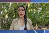 Carmen Perez: cultivo do cacau influencia vida de 93 mil pequenos produtores no Brasil