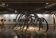 Mostra de Frans Krajcberg chega em momento crucial da nossa história, diz curador do MuBE