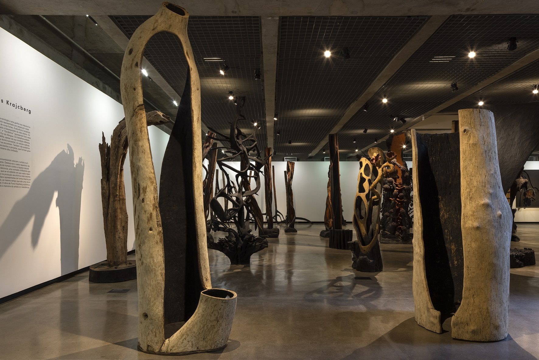 Exposição "Frans Krajcberg: por uma Arquitetura da Natureza”, no MuBE / Divulgação