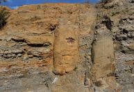 Pesquisa descobre floresta fossilizada de 290 milhões de anos no Paraná