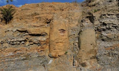 Pesquisa descobre floresta fossilizada de 290 milhões de anos no Paraná