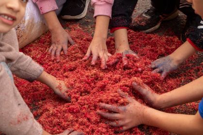 Pessoas preparam tapete de flores de Corpus Christi em Santana de Parnaíba, no interior de SP