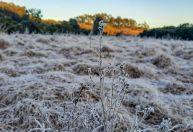 São Paulo começa semana fria e seca; estados do Sul têm geada