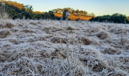 São Paulo começa semana fria e seca; estados do Sul têm geada