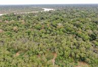 Corpo de indigenista Maxciel Pereira deve ser periciado em Brasília