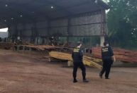 PF deflagra operação contra venda ilegal de madeira com essência amazônica