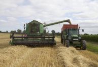 O que explica a falta de unicórnios no agronegócio brasileiro, segundo especialistas