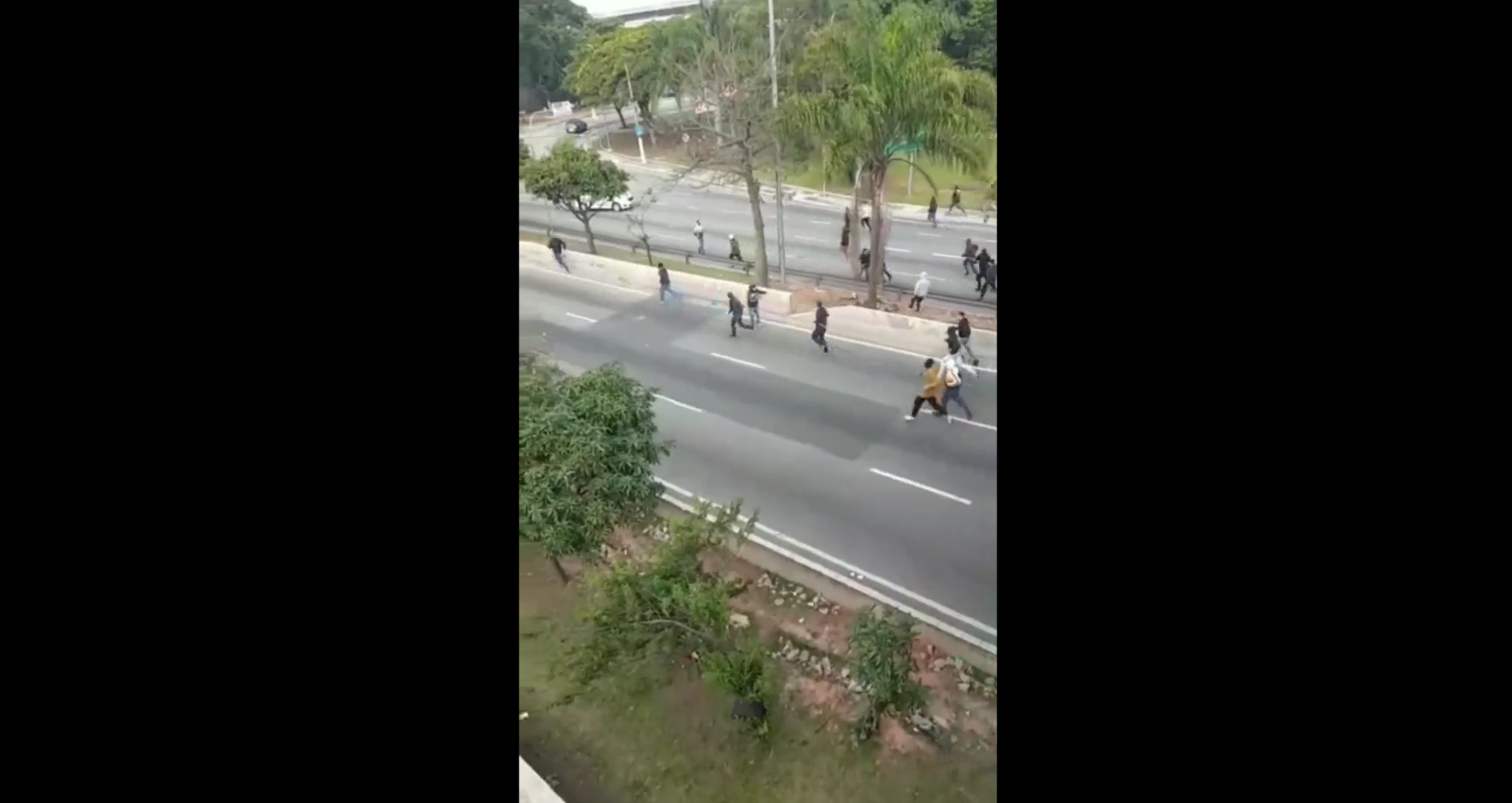 briga torcedores