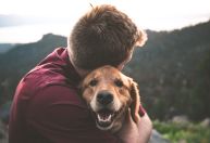Luto pelo pet: como superar a perda do seu bicho de estimação?