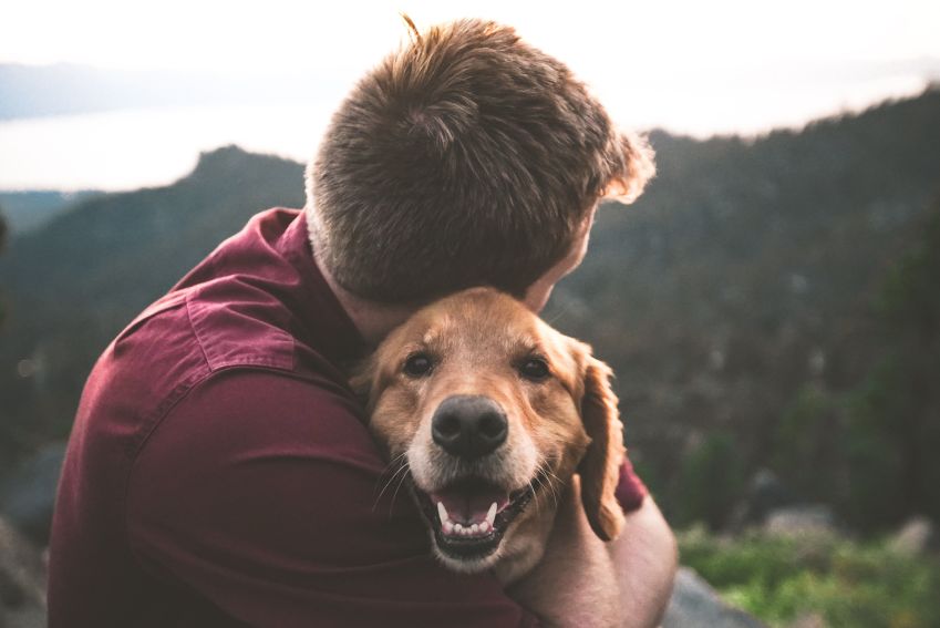 / Eric Ward/Unsplash