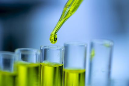 Laboratório trabalha com óleo CBD extraído de uma planta de maconha