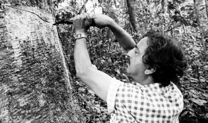 Ambientalista brasileiro Chico Mendes vai ganhar cinebiografia e documentário