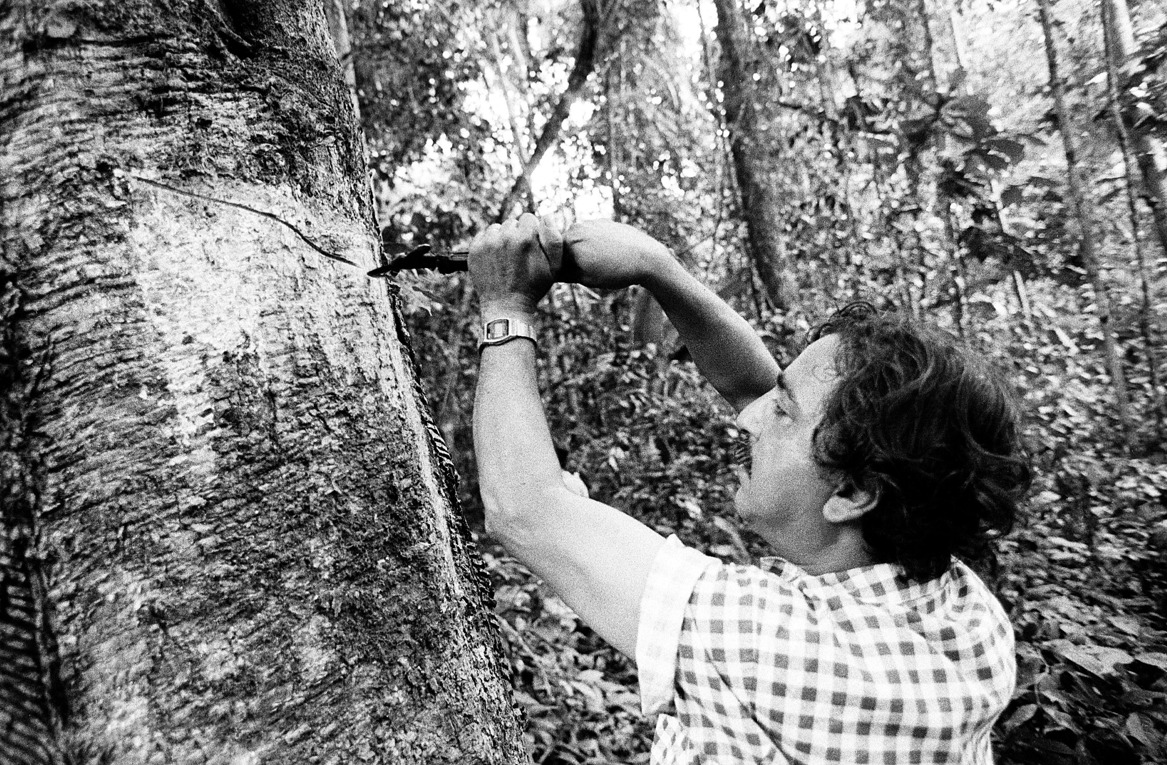 O seringueiro Francisco Alves Mendes Filho, o Chico Mendes, ícone da militância na Região Amazônica / Carlos Ruggi/Estadão Conteúdo