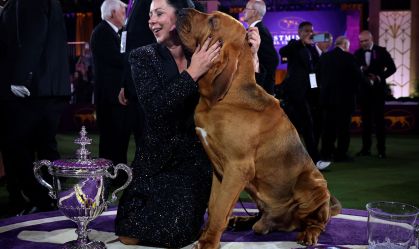 146th Westminster Kennel Club Dog Show in Tarrytown, New York